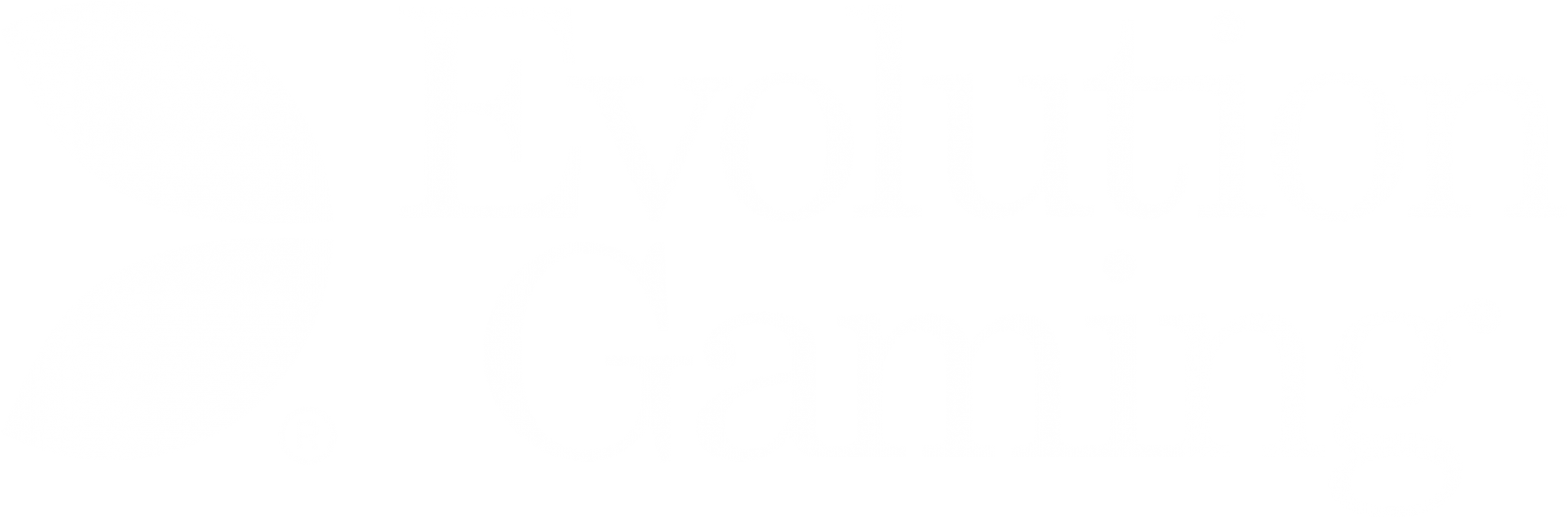 000 EN Logo Software Evolution Gaming White
