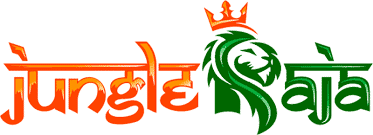 Jungleraja Casino 1